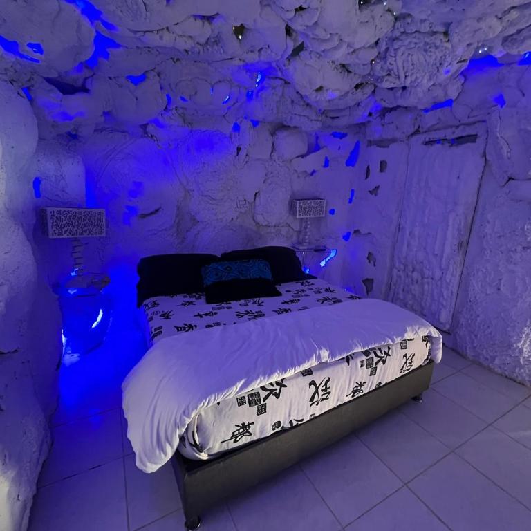 Glamping Spa & Coffee Tour - Tienda - 7