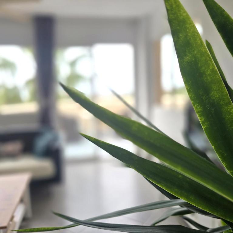 Sea view apartment - Apartamento de 2 dormitorios con vistas al mar - 22