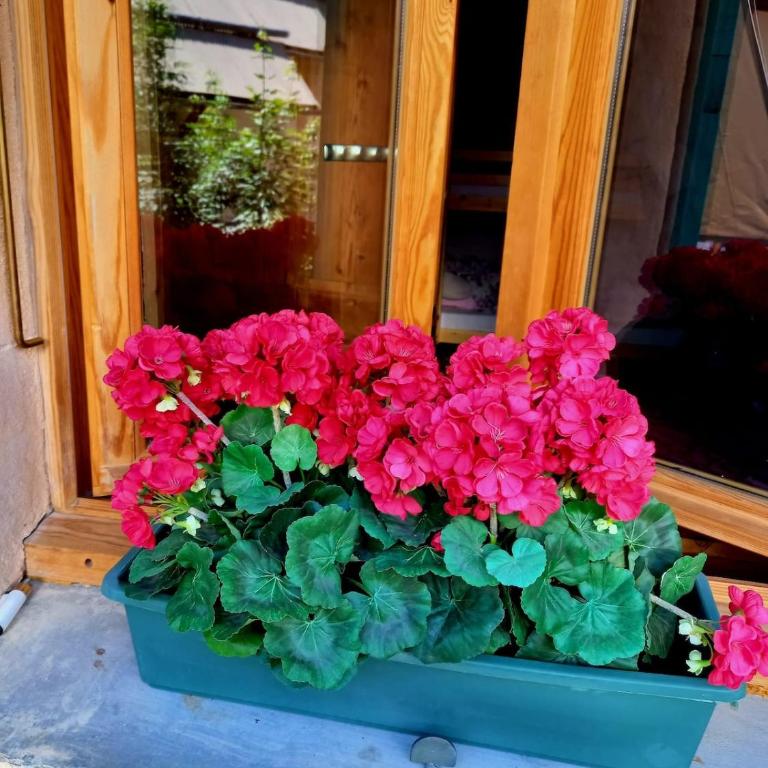 La Frisanfave, Maison de village, centre 65M2 - Maison 1 Chambre - 11