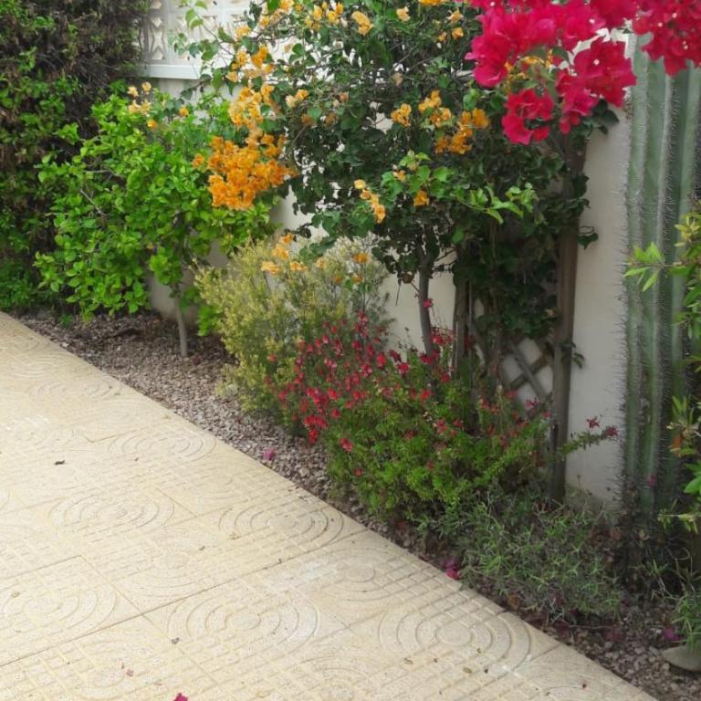 Family Townhouse 6 sleeps Maribel - Apartamento de 3 dormitorios - 29