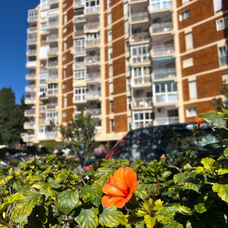Estudio El Sol de María - Studio Apartment - 36