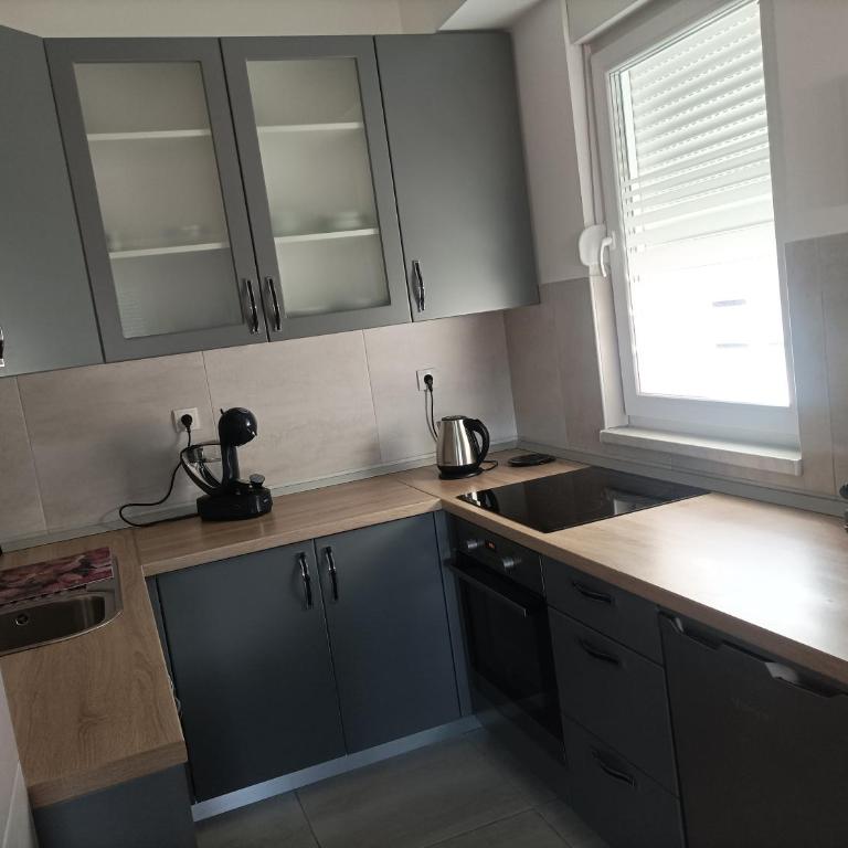 Apartman Ema - Apartman sa 1 Spavaćom Sobom - 6
