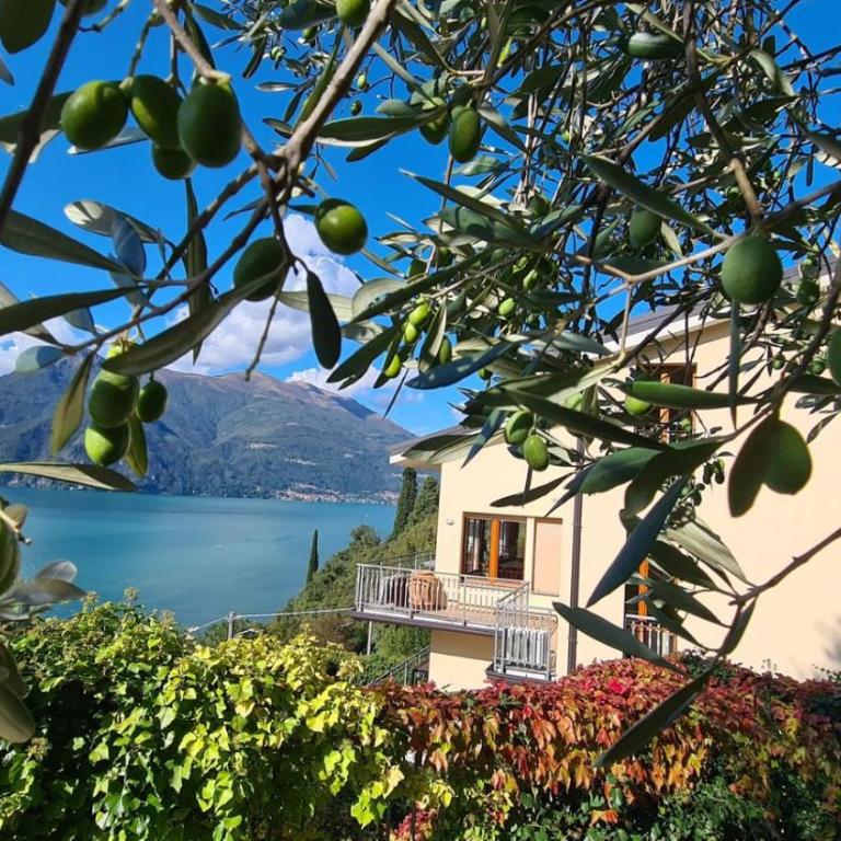Villa gli Ulivi - Bariloche Lake & Mountain View - Villa Deluxe - 35