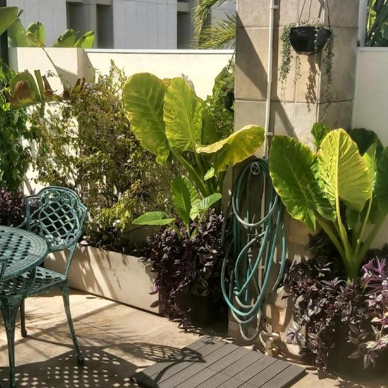 Penthouse with terrace in Buenos Aires - Apartamento de 2 dormitorios - 16