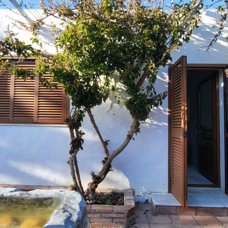 LA OLA Tarifa - Habitación Cuádruple con ducha - 2