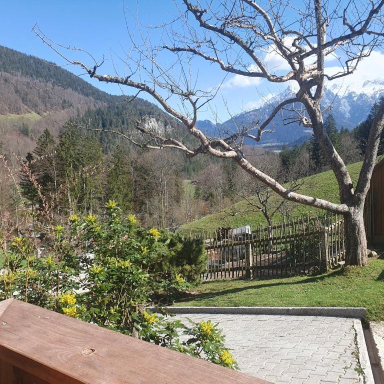 Pension Scheuerbichl - Apartment - 18