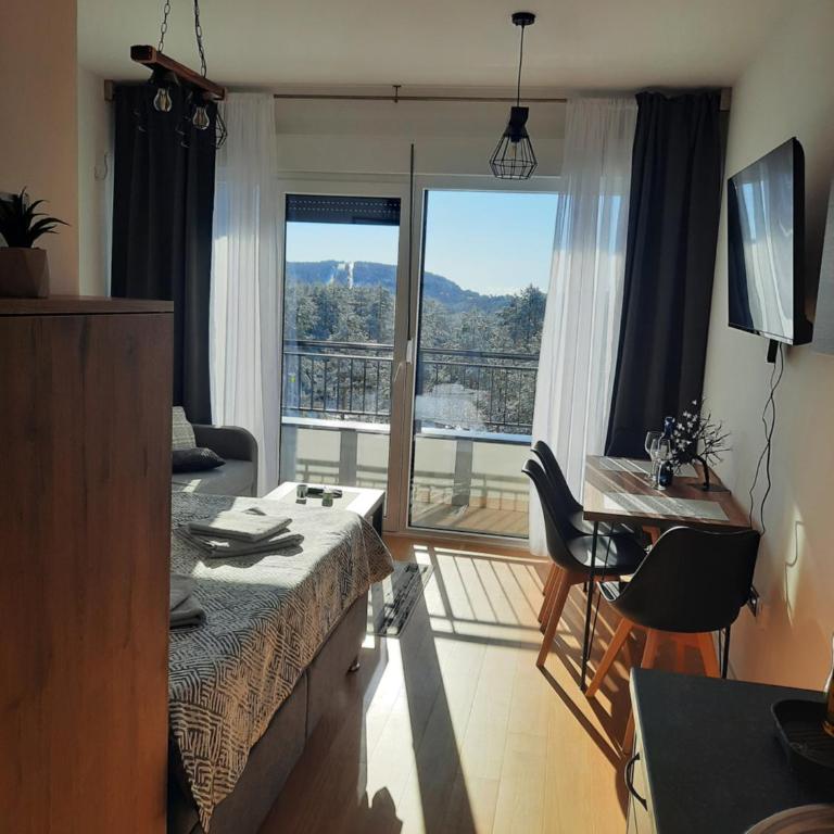 Apartman Pogled Divcibare - Apartman sa 1 Spavaćom Sobom - 8