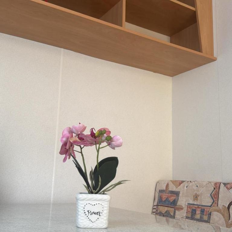 Camping Mayer - Casa Mobile - 10