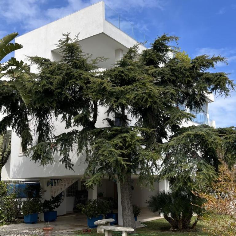 Attico Maristella - Appartamento con 3 Camere da Letto - 2