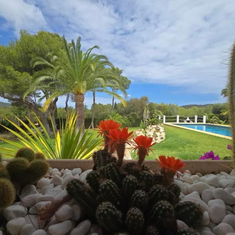 Villa Javea 10000 m carrés de jardin à 8 minutes de la plage - Villa de 4 dormitorios - 2