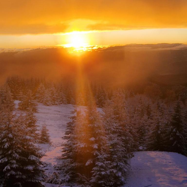 Chalet 1600 Kopaonik Spa, Cinema & Game Lounge - Vila - 39