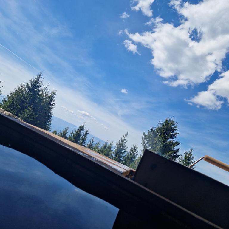 Chalet 1600 Kopaonik Spa, Cinema & Game Lounge - Vila - 8