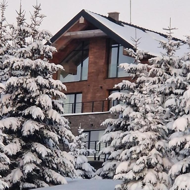 Chalet 1600 Kopaonik Spa, Cinema & Game Lounge - Vila - 58