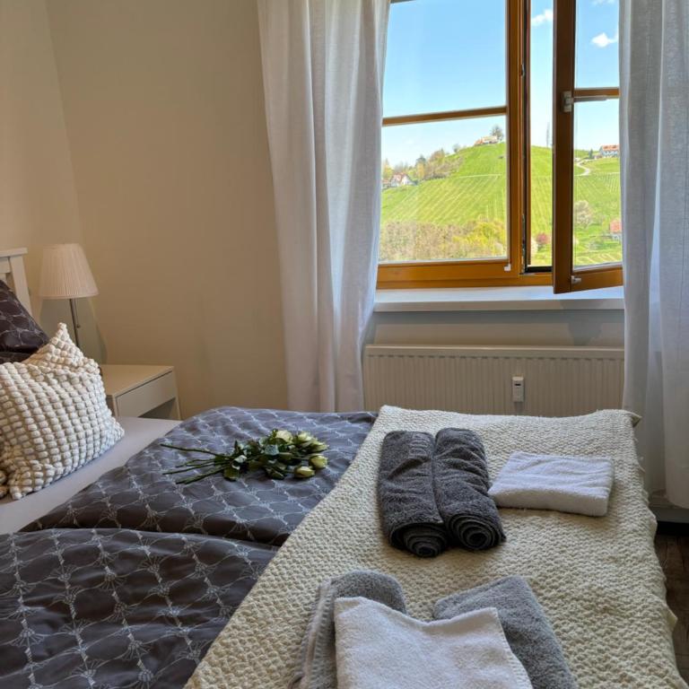 Glanz und Gloria Weingartenapartment an der Kellerstraße, viele Buschenschänke, sehr ruhige Lage, herrliche Aussicht! - Appartement - Vue sur Jardin - 2