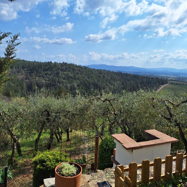 casa vacanze nel Chianti il Granaio - Casa con 2 Camere da Letto - 9