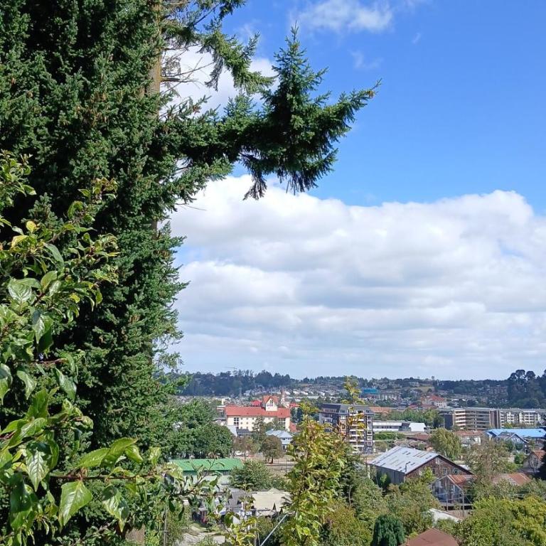 Casa JMPP - Casa de 3 dormitorios - 4