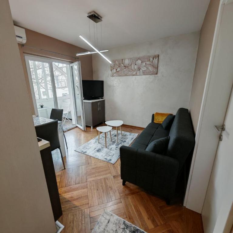 Apartman Miladinović - One-Bedroom Apartment - 13