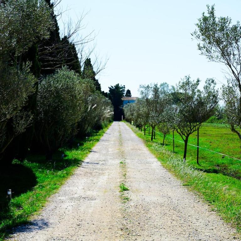 Un Cabanon en Camargue - Haus mit 3 Schlafzimmern - 13