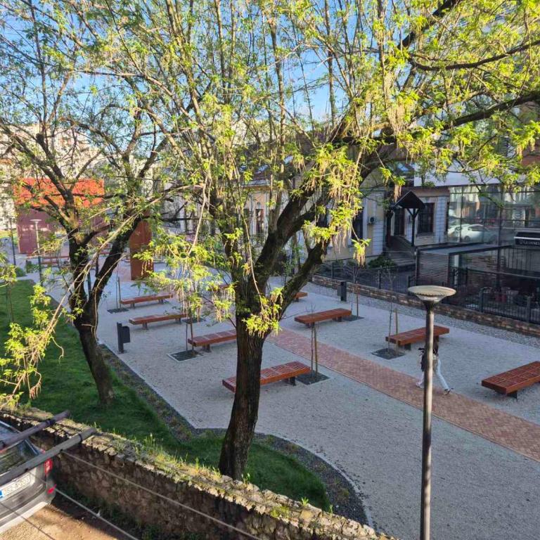 Apartman Bosiljak - Apartman sa 1 Spavaćom Sobom - 14