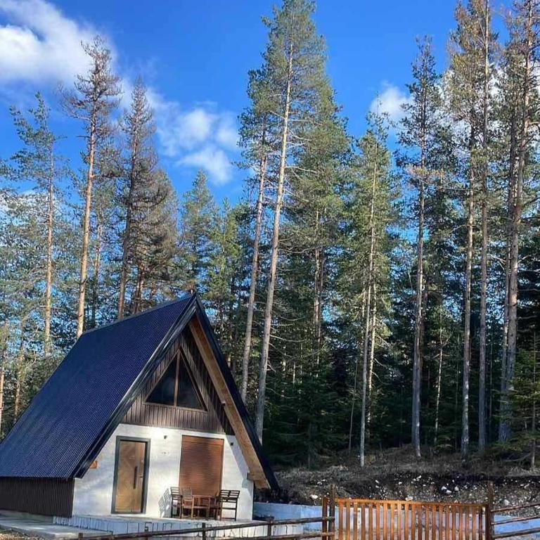 Pine Retreat - One-Bedroom House - 1