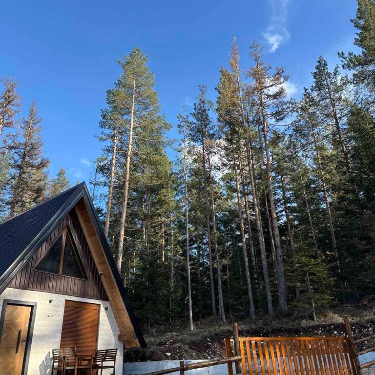 Pine Retreat - One-Bedroom House - 5