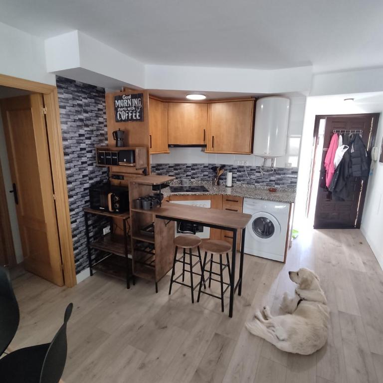 Casa Chusky - Apartamento de 1 dormitorio - 9