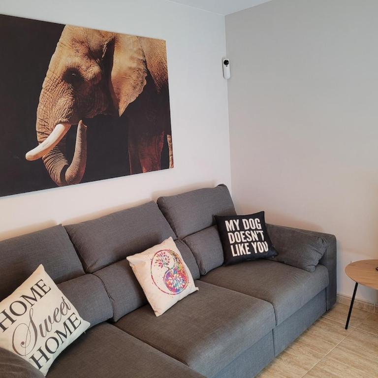 Our lovely space - One-Bedroom Apartment - 23