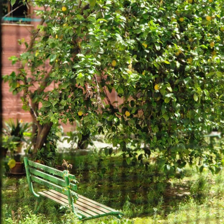 Las naranjas de reina mercedes aparcamiento en la misma puerta - Apartamento de 2 dormitorios - 18
