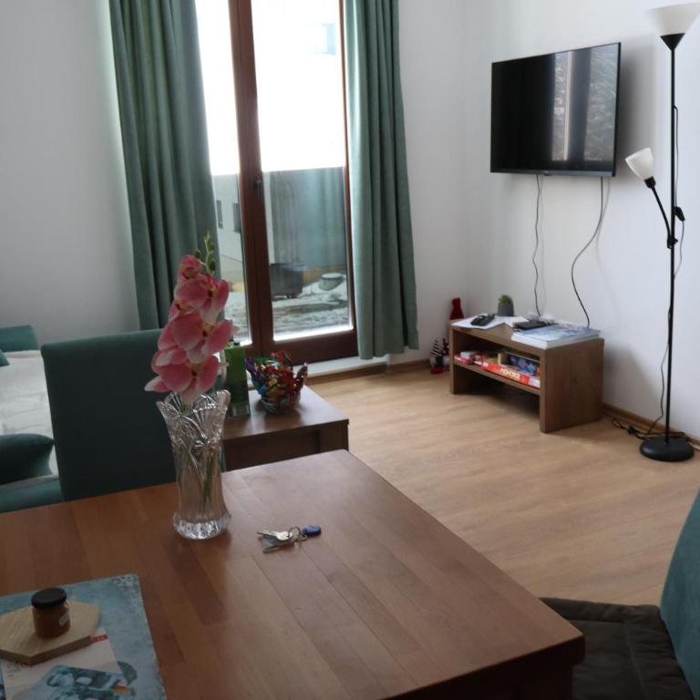 Vila Akva - Apartman sa 1 Spavaćom Sobom - 17