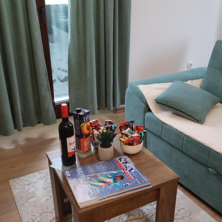 Vila Akva - Apartman sa 1 Spavaćom Sobom - 19