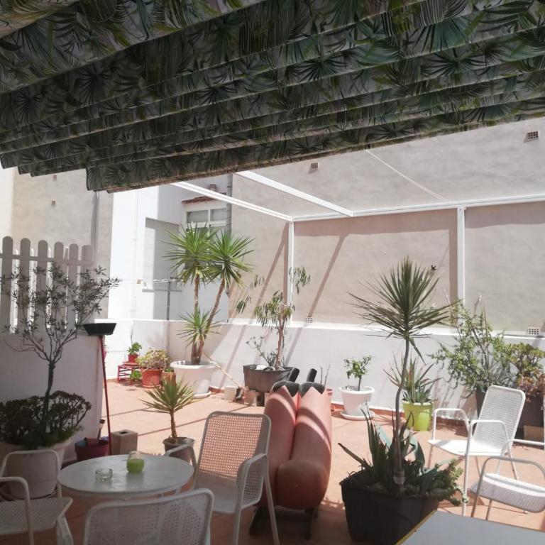 Gran Terraza - Apartamento de 3 dormitorios - 1