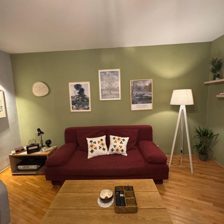 Old Town Ferhadija Apartments - Apartman sa 1 Spavaćom Sobom - 9