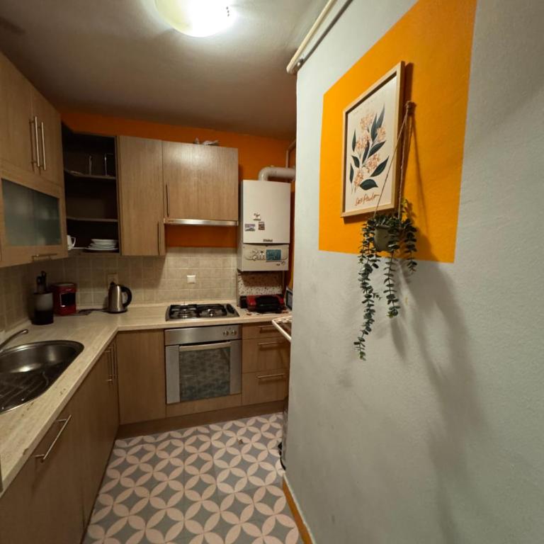 Old Town Ferhadija Apartments - Apartman sa 1 Spavaćom Sobom - 17