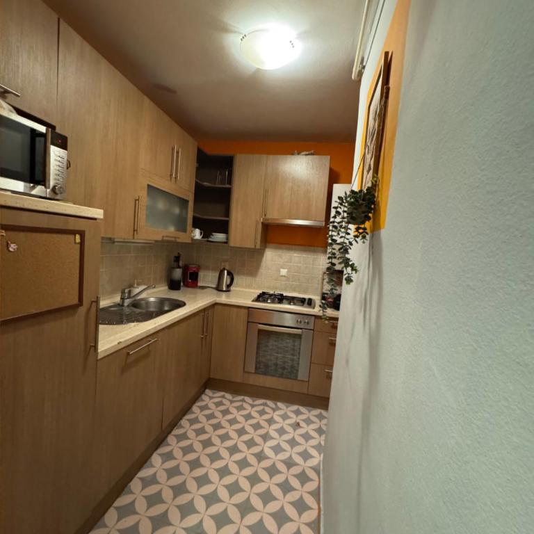 Old Town Ferhadija Apartments - Apartman sa 1 Spavaćom Sobom - 19