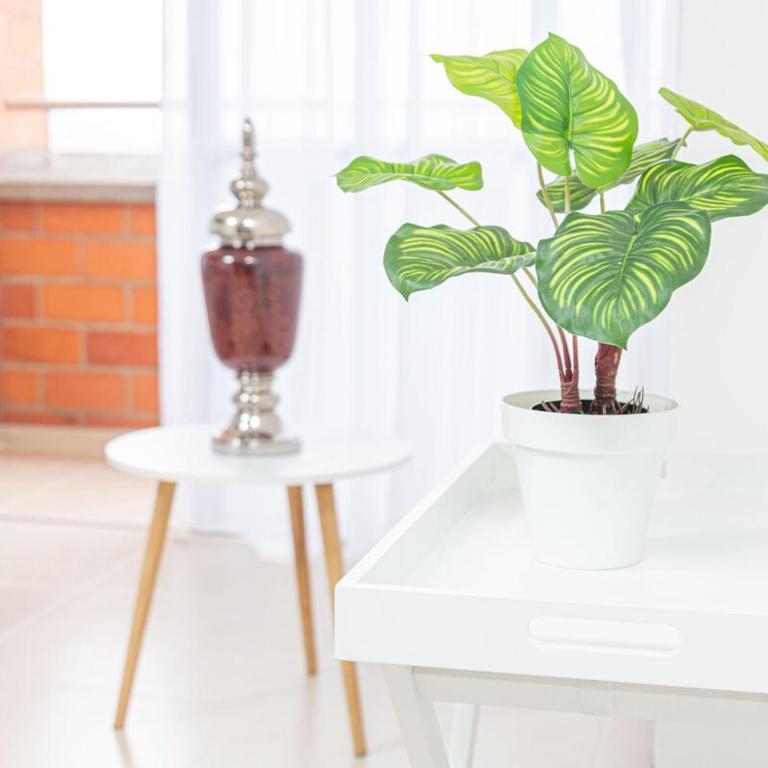 Departamento Moderno En sabaneta - Apartamento de 2 dormitorios - 17