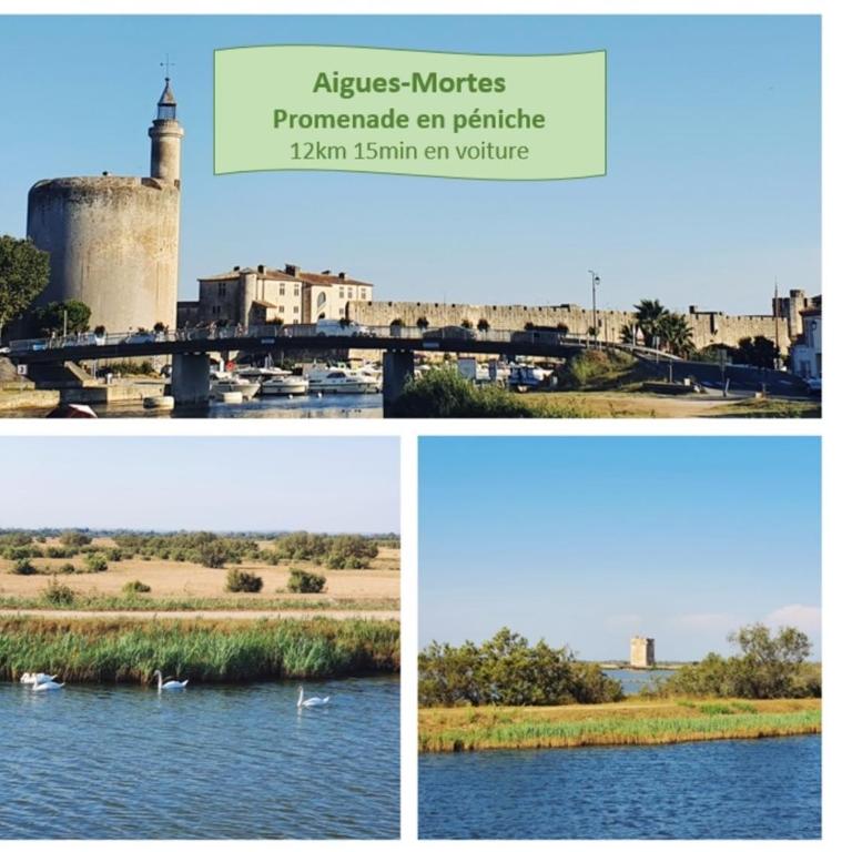 T2 West CITY Parking Clim Wifi 4pers - ROSSIconciergerie - Linge inclus - Appartamento con 1 Camera da Letto - 22