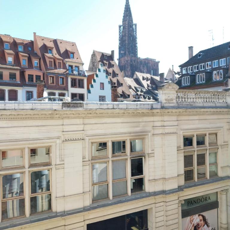 Hypercentre Strasbourg Vue Cathédrale - Appartamento con 1 Camera da Letto - 7