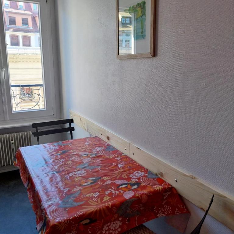 Hypercentre Strasbourg Vue Cathédrale - Appartamento con 1 Camera da Letto - 13