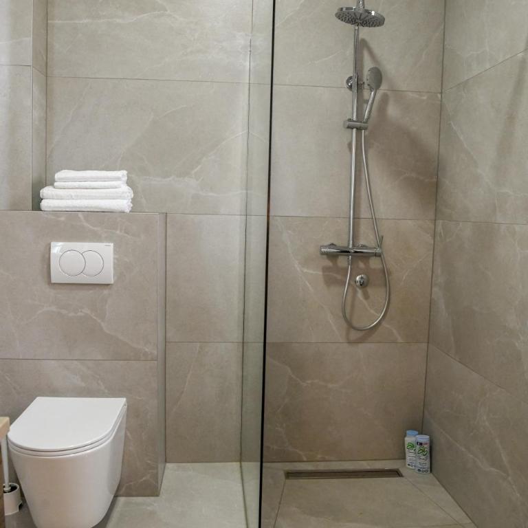 Vila sa bazenom Vrnjačka Idila - Deluks Studio - 13