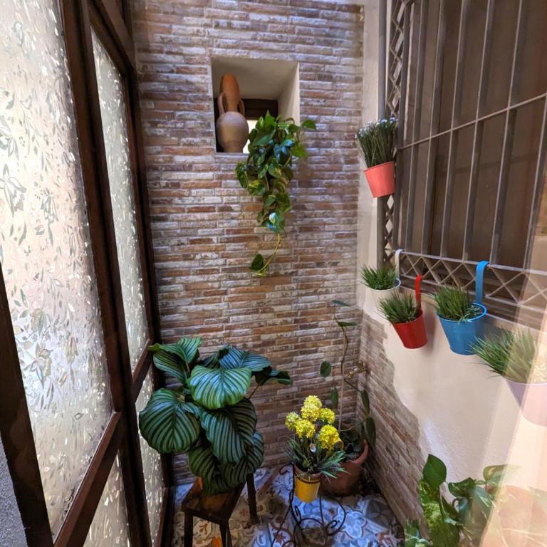 Casa di Leda 2 - Appartamento con 1 Camera da Letto - 3