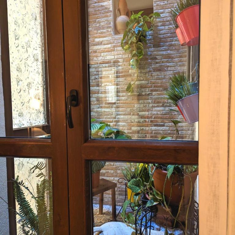 Casa di Leda 2 - Appartamento con 1 Camera da Letto - 4