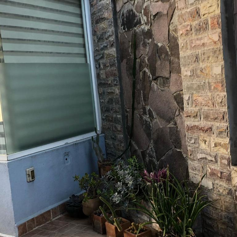 Tita Coco1 - Apartamento de 1 dormitorio - 4