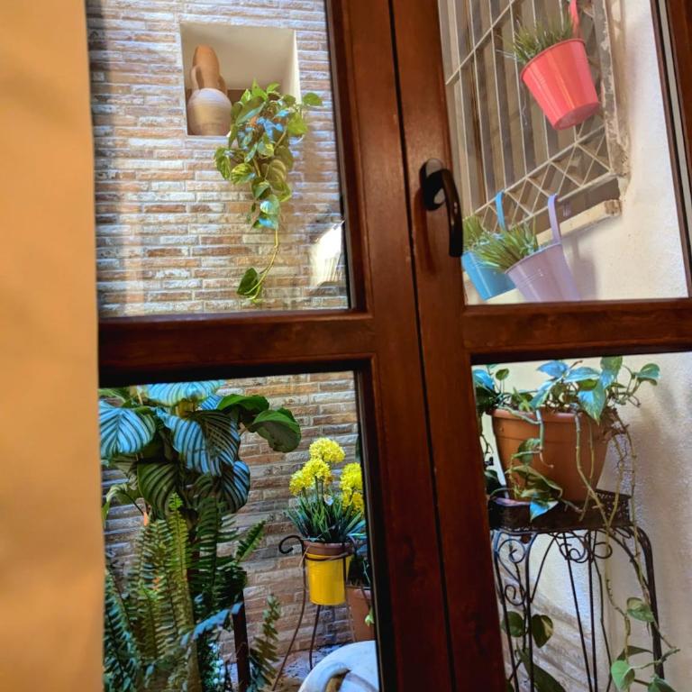 Casa di Leda 2 - Appartamento con 1 Camera da Letto - 9