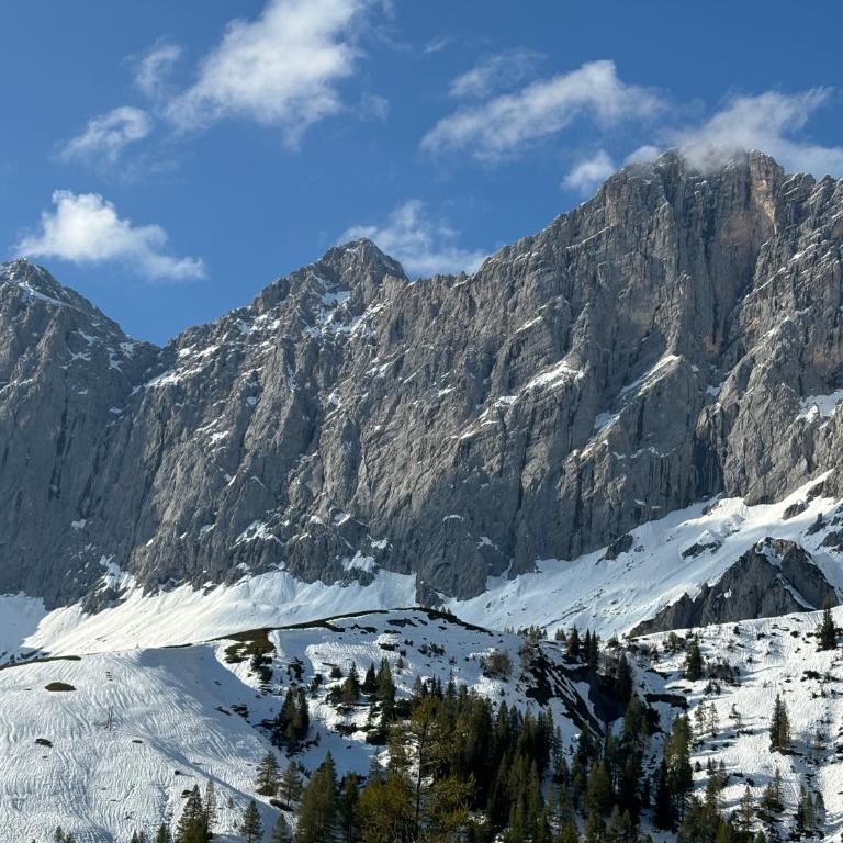 Haus Sonnleitner Appartement Dachstein - Apartamento de 1 dormitorio - 31