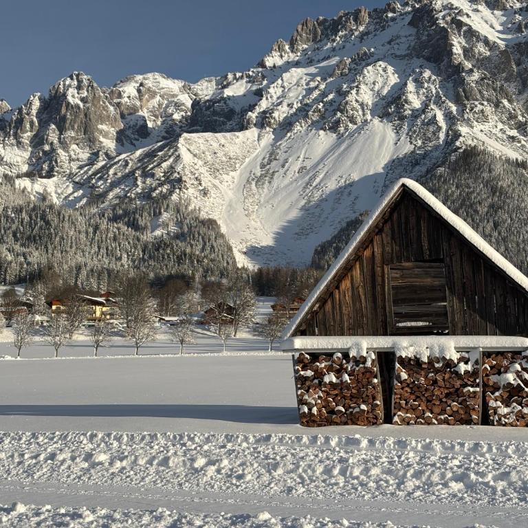 Haus Sonnleitner Appartement Dachstein - Apartamento de 1 dormitorio - 32