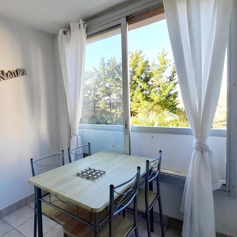 Le lagon bleu piscine et tennis - Appartement 1 Chambre - 9