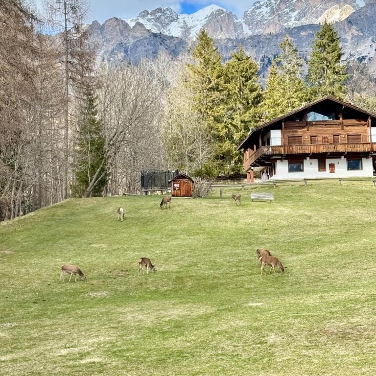 Charme alpino e modernità-Appartamento ristrutturato a due passi dal centro - Appartamento con 3 Camere da Letto e con Vista - 18