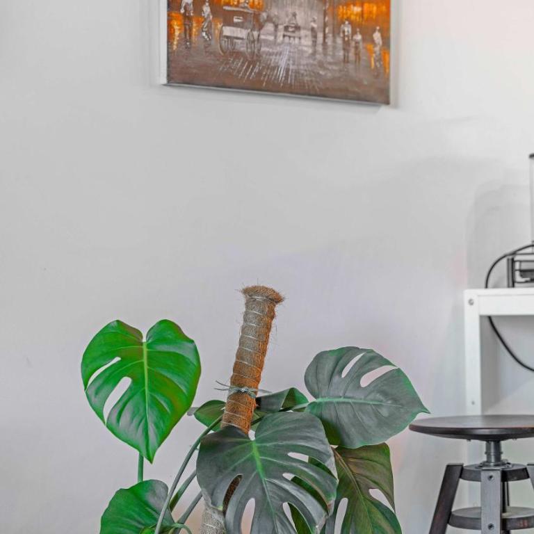 CASA L'ALBA - Piscine Lagon - Plage - Appartement - 14
