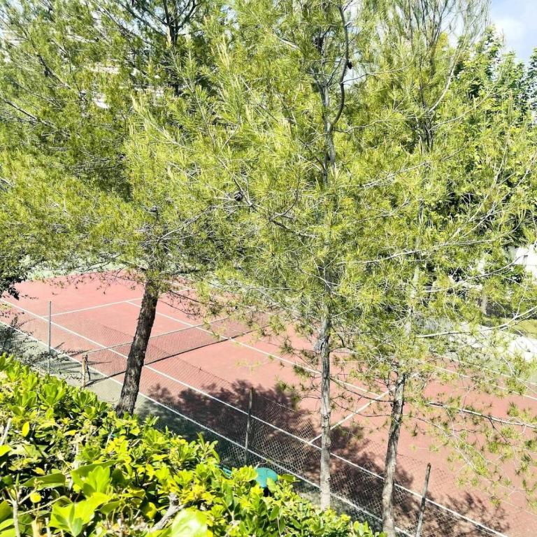 Studio climatisé avec piscine-tennis-parking - Appartement 1 Chambre - 7