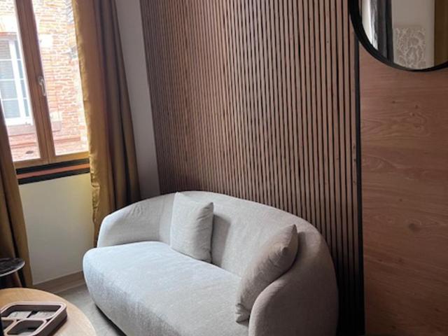 Patrimoine Albigeois 36 HDV DupleX - Superior Apartment - 9
